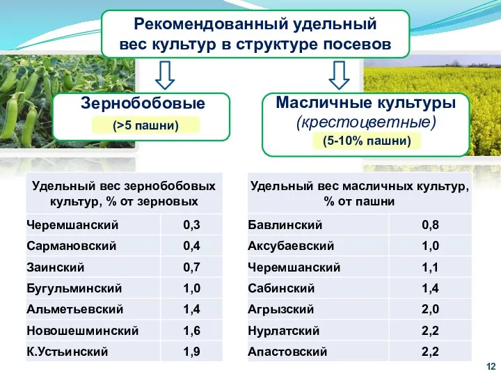 Рекомендованный удельный вес культур в структуре посевов (>5% пашни) (5-10% пашни) (>5 пашни)
