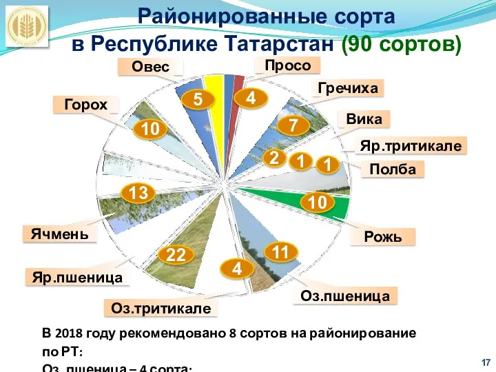 Районированные сорта в Республике Татарстан (90 сортов) В 2018 году