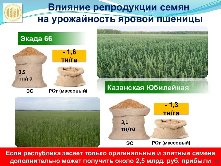Влияние репродукции семян на урожайность яровой пшеницы Экада 66 Казанская