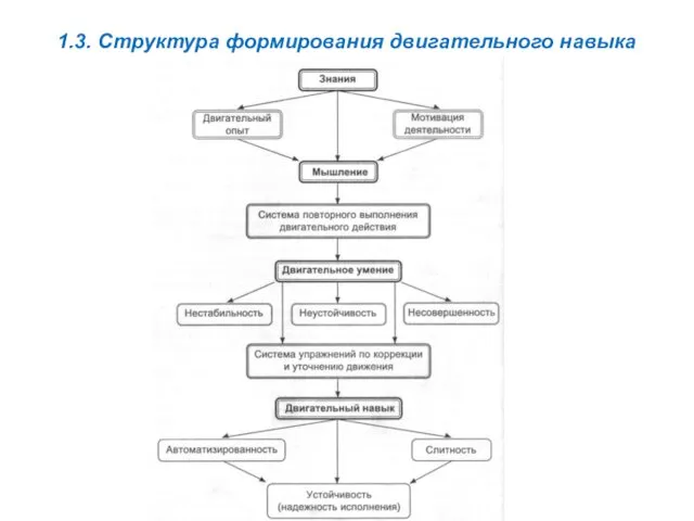 1.3. Структура формирования двигательного навыка