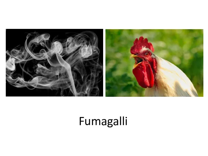 Fumagalli