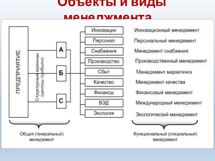 Объекты и виды менеджмента