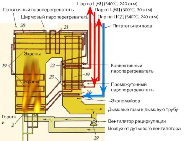 Промежуточный пароперегреватель Экономайзер Питательная вода Конвективный пароперегреватель Потолочный пароперегреватель Ширмовый