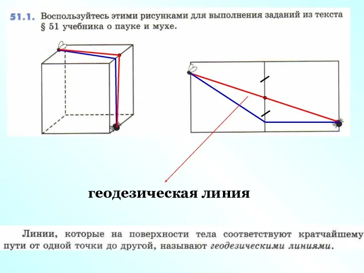 геодезическая линия