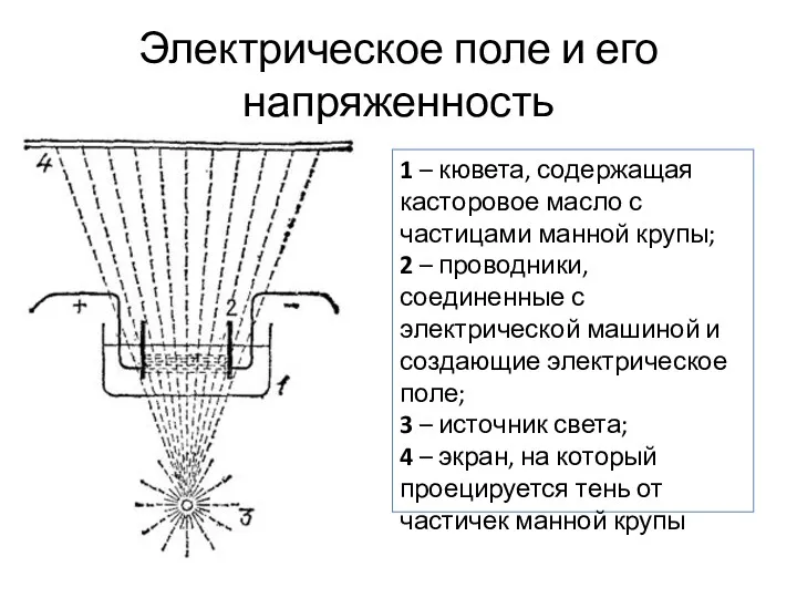 Электрическое поле и его напряженность 1 – кювета, содержащая касторовое масло с частицами