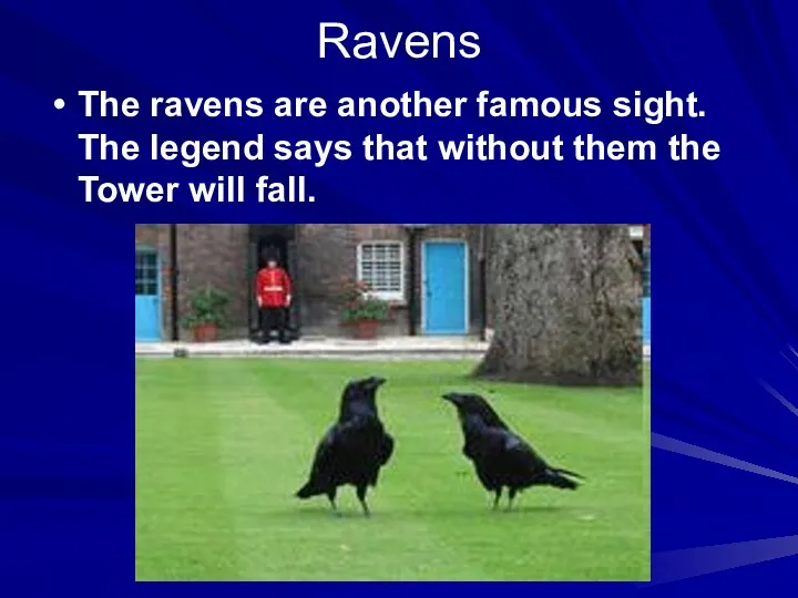 Ravens The ravens are another famous sight. The legend says