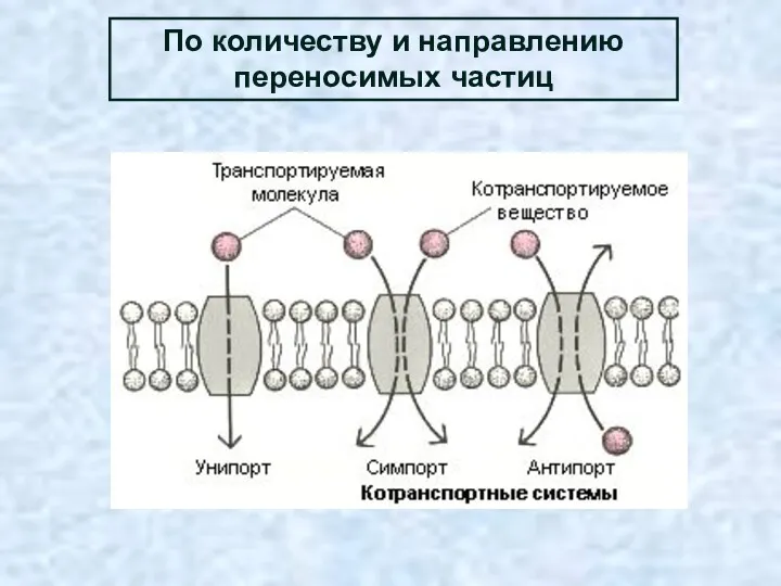 По количеству и направлению переносимых частиц