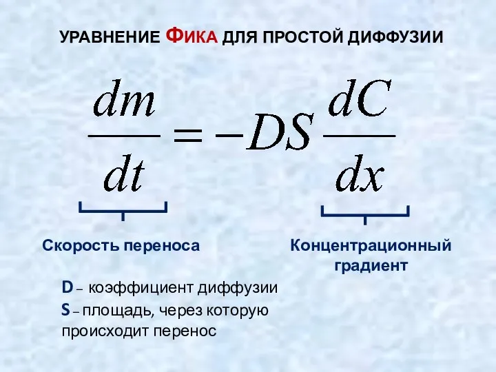 УРАВНЕНИЕ ФИКА ДЛЯ ПРОСТОЙ ДИФФУЗИИ Скорость переноса Концентрационный градиент D