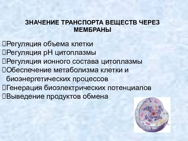 ЗНАЧЕНИЕ ТРАНСПОРТА ВЕЩЕСТВ ЧЕРЕЗ МЕМБРАНЫ Регуляция объема клетки Регуляция рН