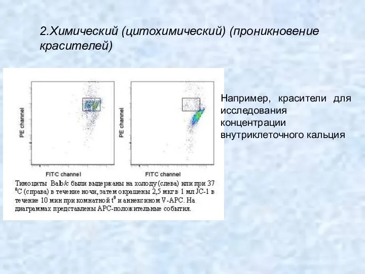 2.Химический (цитохимический) (проникновение красителей) Например, красители для исследования концентрации внутриклеточного кальция