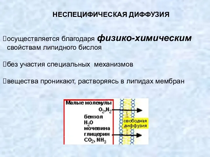 НЕСПЕЦИФИЧЕСКАЯ ДИФФУЗИЯ осуществляется благодаря физико-химическим свойствам липидного бислоя без участия