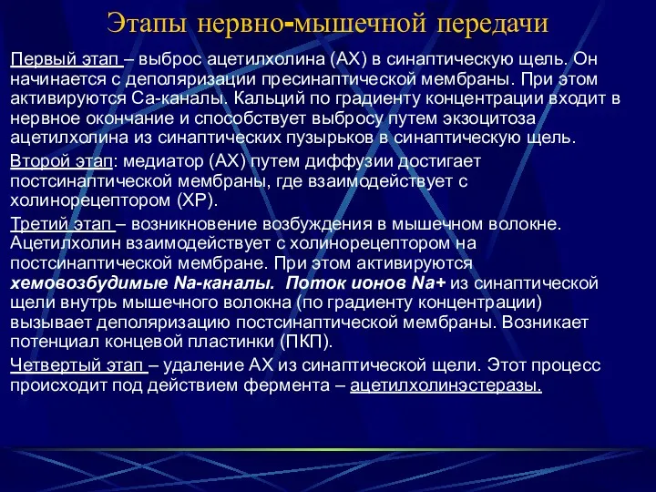 Этапы нервно-мышечной передачи Первый этап – выброс ацетилхолина (АХ) в