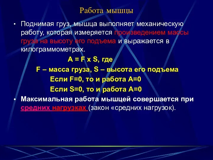 Работа мышцы Поднимая груз, мышца выполняет механическую работу, которая измеряется