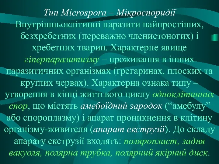 Тип Microspora – Мікроспоридії Внутрішньоклітинні паразити найпростіших, безхребетних (переважно членистоногих)