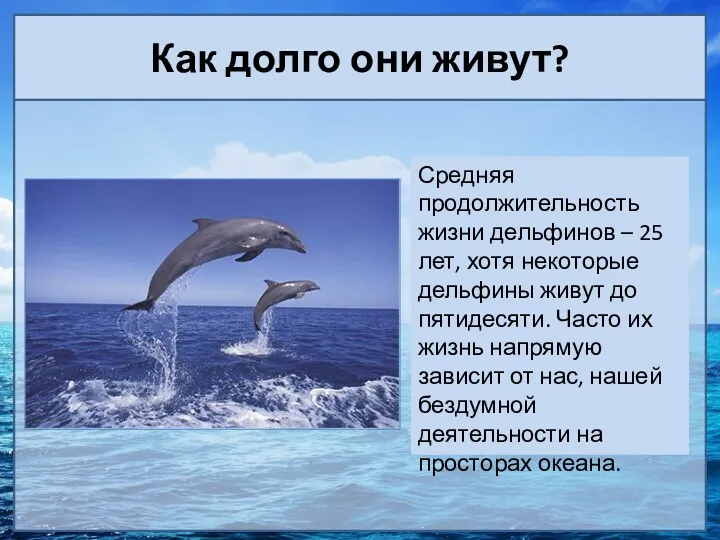 Как долго они живут? Средняя продолжительность жизни дельфинов – 25