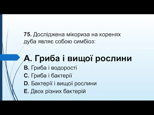 75. Дослiджена мiкориза на коренях дуба являє собою симбiоз: A.