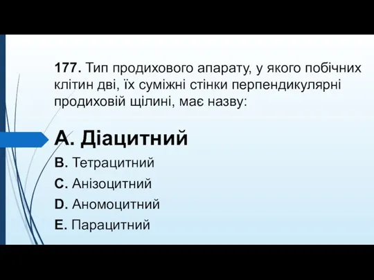 177. Тип продихового апарату, у якого побiчних клiтин двi, їх