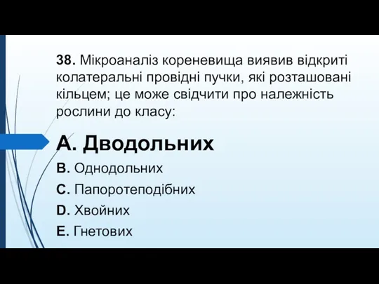 38. Мiкроаналiз кореневища виявив вiдкритi колатеральнi провiднi пучки, якi розташованi