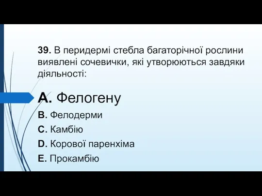 39. В перидермi стебла багаторiчної рослини виявленi сочевички, якi утворюються