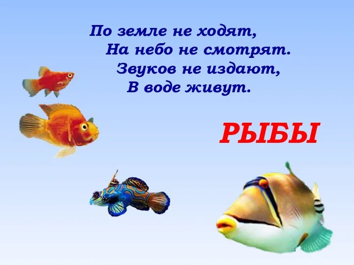 РЫБЫ По земле не ходят, На небо не смотрят. Звуков не издают, В воде живут.