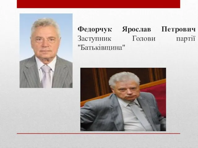 Федорчук Ярослав Петрович Заступник Голови партії "Батьківщина"