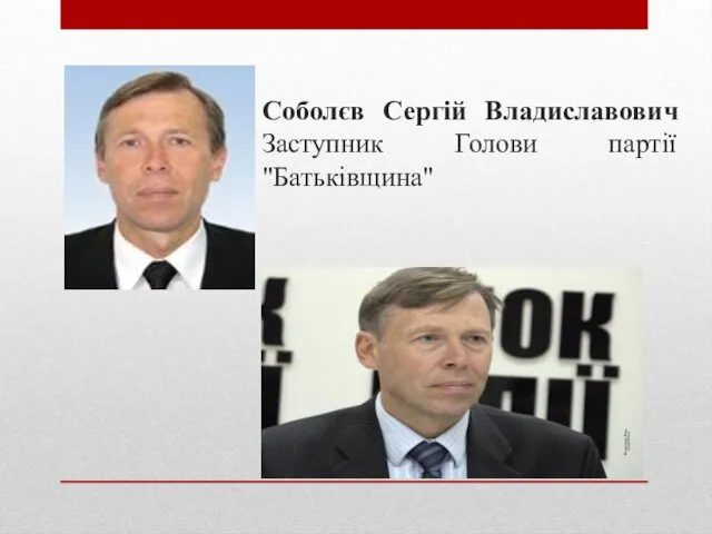 Соболєв Сергій Владиславович Заступник Голови партії "Батьківщина"