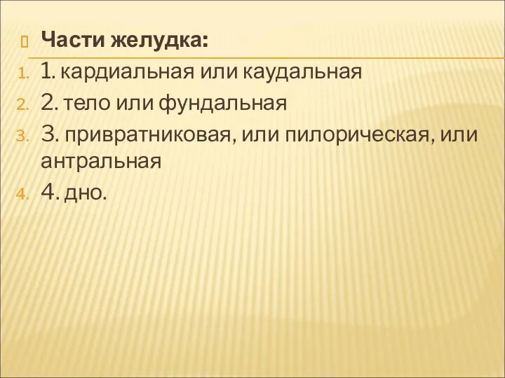 Части желудка: 1. кардиальная или каудальная 2. тело или фундальная