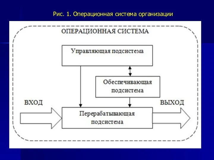 Рис. 1. Операционная система организации
