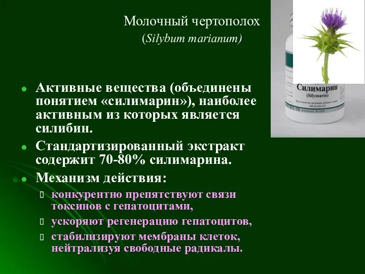 Молочный чертополох (Silybum marianum) Активные вещества (объединены понятием «силимарин»), наиболее