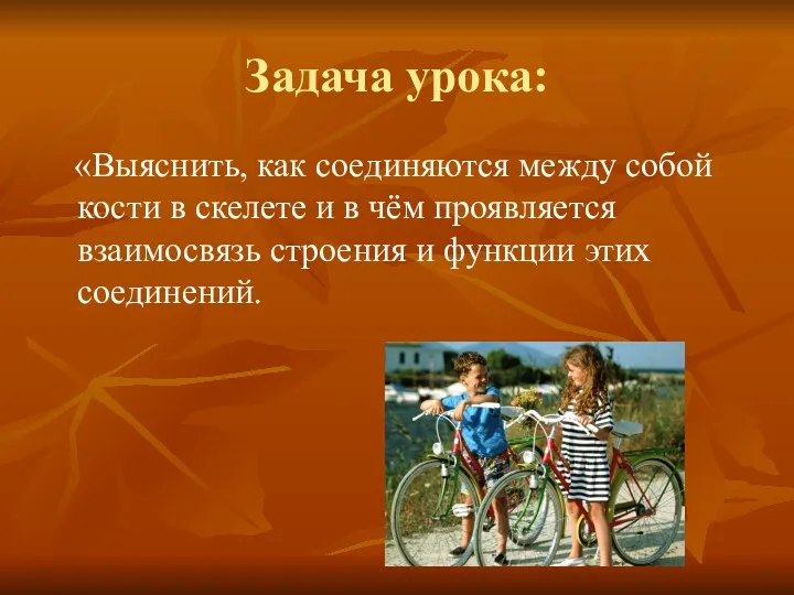 Задача урока: «Выяснить, как соединяются между собой кости в скелете