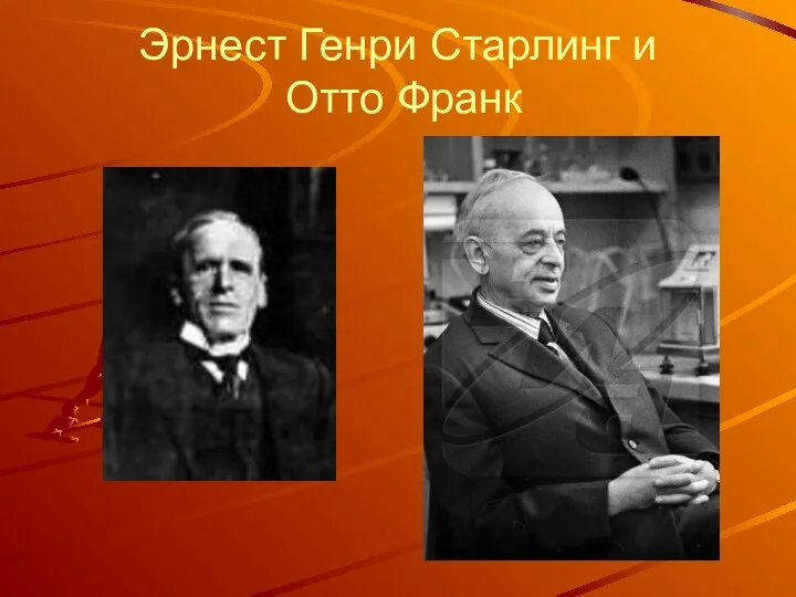 Эрнест Генри Старлинг и Отто Франк