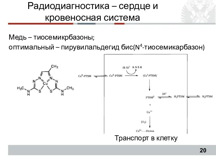 Медь – тиосемикрбазоны; оптимальный – пирувилальдегид бис(N4-тиосемикарбазон) Транспорт в клетку Радиодиагностика – сердце и кровеносная система