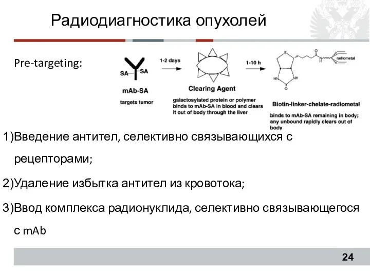 Pre-targeting: Введение антител, селективно связывающихся с рецепторами; Удаление избытка антител