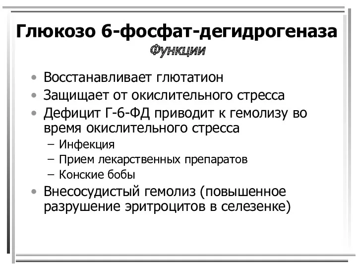 Глюкозо 6-фосфат-дегидрогеназа Функции Восстанавливает глютатион Защищает от окислительного стресса Дефицит