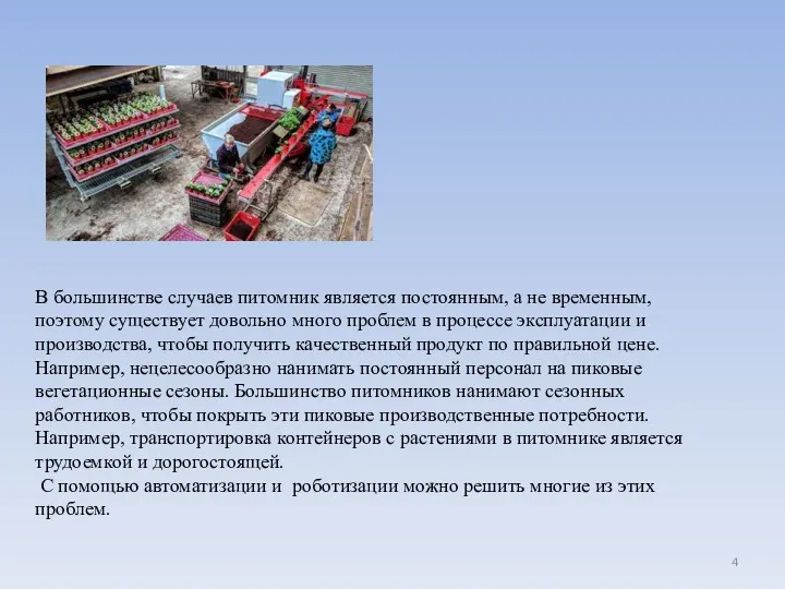 В большинстве случаев питомник является постоянным, а не временным, поэтому