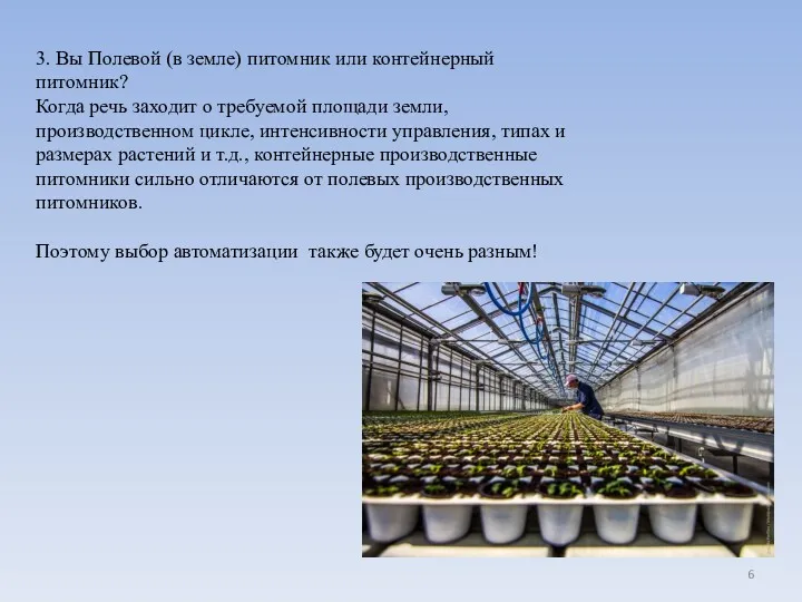 3. Вы Полевой (в земле) питомник или контейнерный питомник? Когда