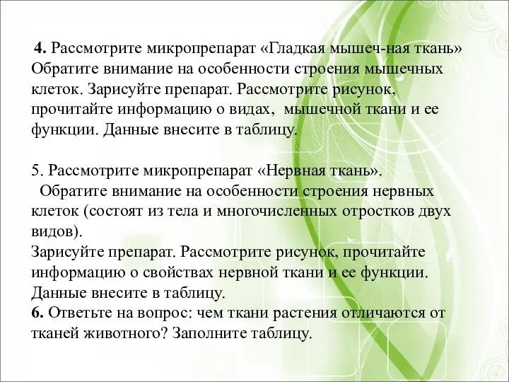 4. Рассмотрите микропрепарат «Гладкая мышеч-ная ткань» Обратите внимание на особенности