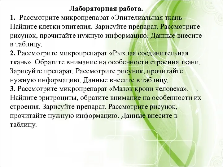 Лабораторная работа. 1. Рассмотрите микропрепарат «Эпителиальная ткань Найдите клетки эпителия.