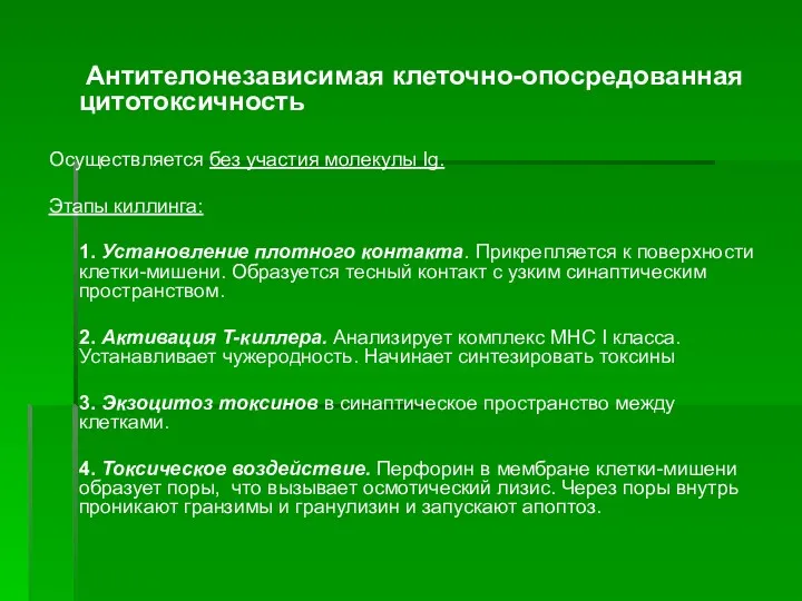 Антителонезависимая клеточно-опосредованная цитотоксичность Осуществляется без участия молекулы Ig. Этапы киллинга: