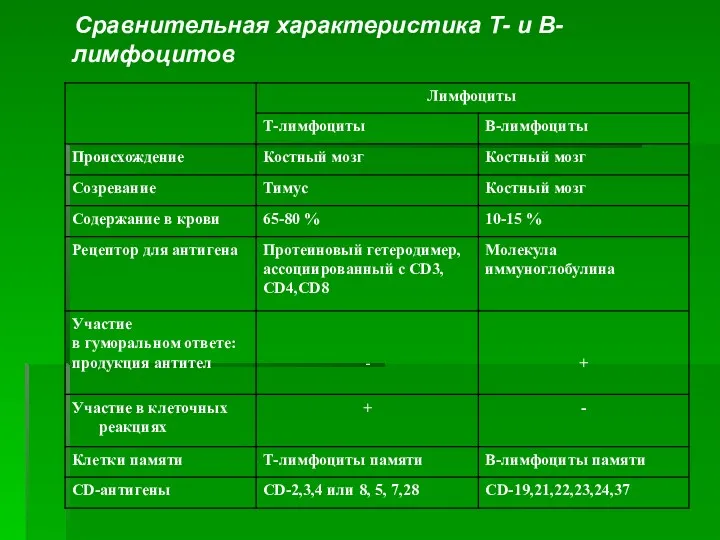 Сравнительная характеристика Т- и В-лимфоцитов