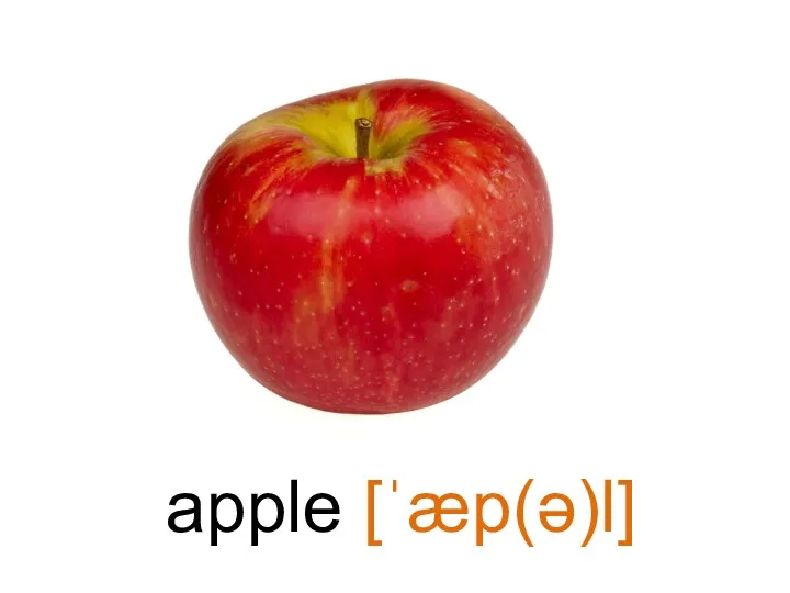 apple [ˈæp(ə)l]