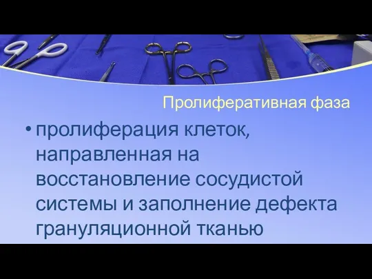 Пролиферативная фаза пролиферация клеток, направленная на восстановление сосудистой системы и заполнение дефекта грануляционной тканью