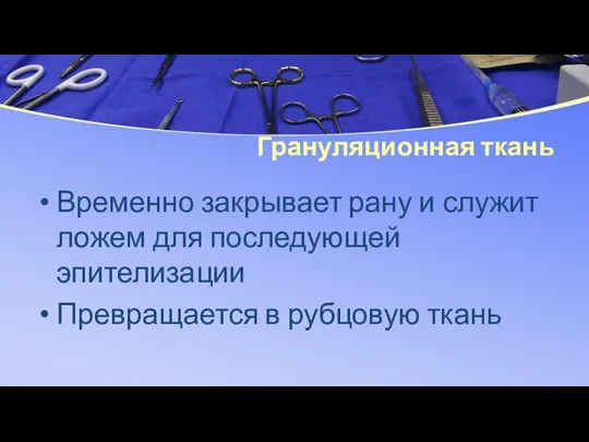 Грануляционная ткань Временно закрывает рану и служит ложем для последующей эпителизации Превращается в рубцовую ткань