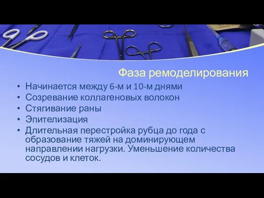 Фаза ремоделирования Начинается между 6-м и 10-м днями Созревание коллагеновых волокон Стягивание раны