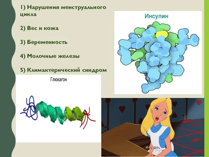 1) Нарушения менструального цикла 2) Вес и кожа 3) Беременность 4) Молочные железы 5) Климактерический синдром