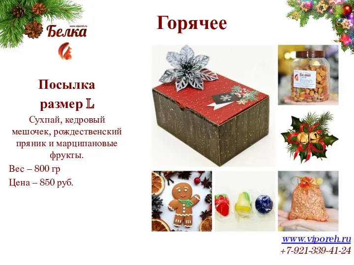 Горячее www.viporeh.ru +7-921-339-41-24 Посылка размер L Сухпай, кедровый мешочек, рождественский