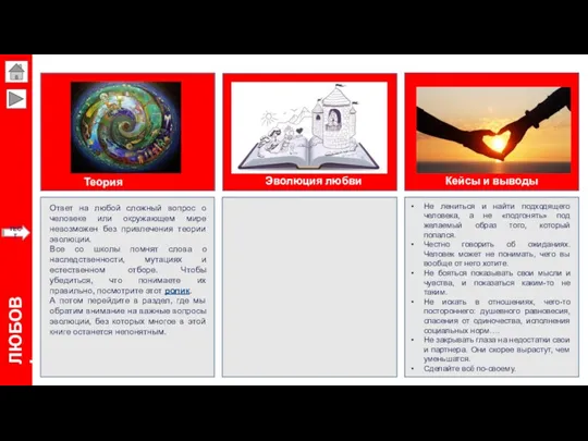 ЛЮБОВЬ Теория эволюции Эволюция любви Кейсы и выводы Ответ на