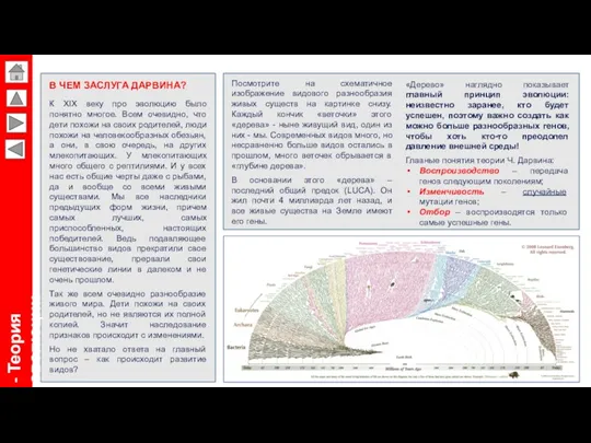 В ЧЕМ ЗАСЛУГА ДАРВИНА? К XIX веку про эволюцию было