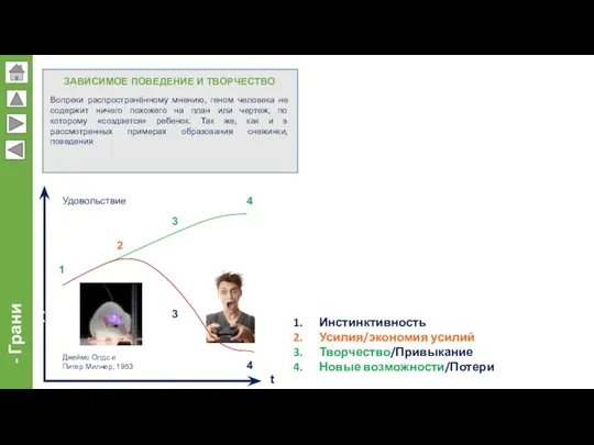 Инстинктивность Усилия/экономия усилий Творчество/Привыкание Новые возможности/Потери 1 2 3 4