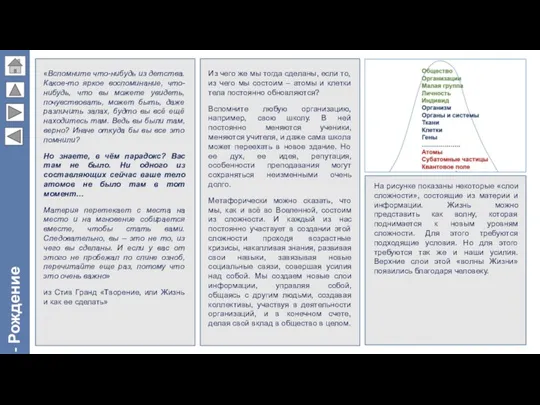 - Рождение сложности «Вспомните что-нибудь из детства. Какое-то яркое воспоминание,